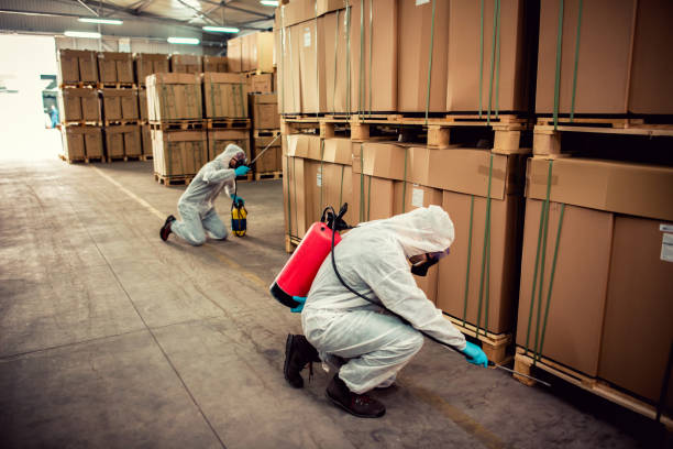 Best Flea Control Services  in Union City, IN