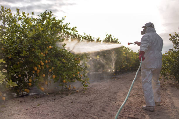 Best Best Pest Control Companies  in Union City, IN