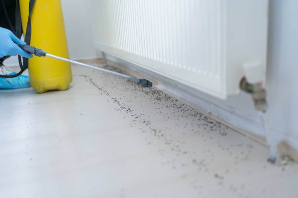 Best Pest Prevention Services  in Union City, IN