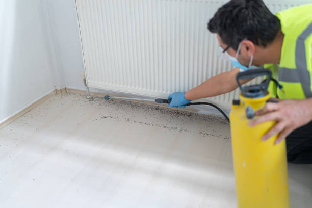 Best Best Pest Control Companies  in Union City, IN